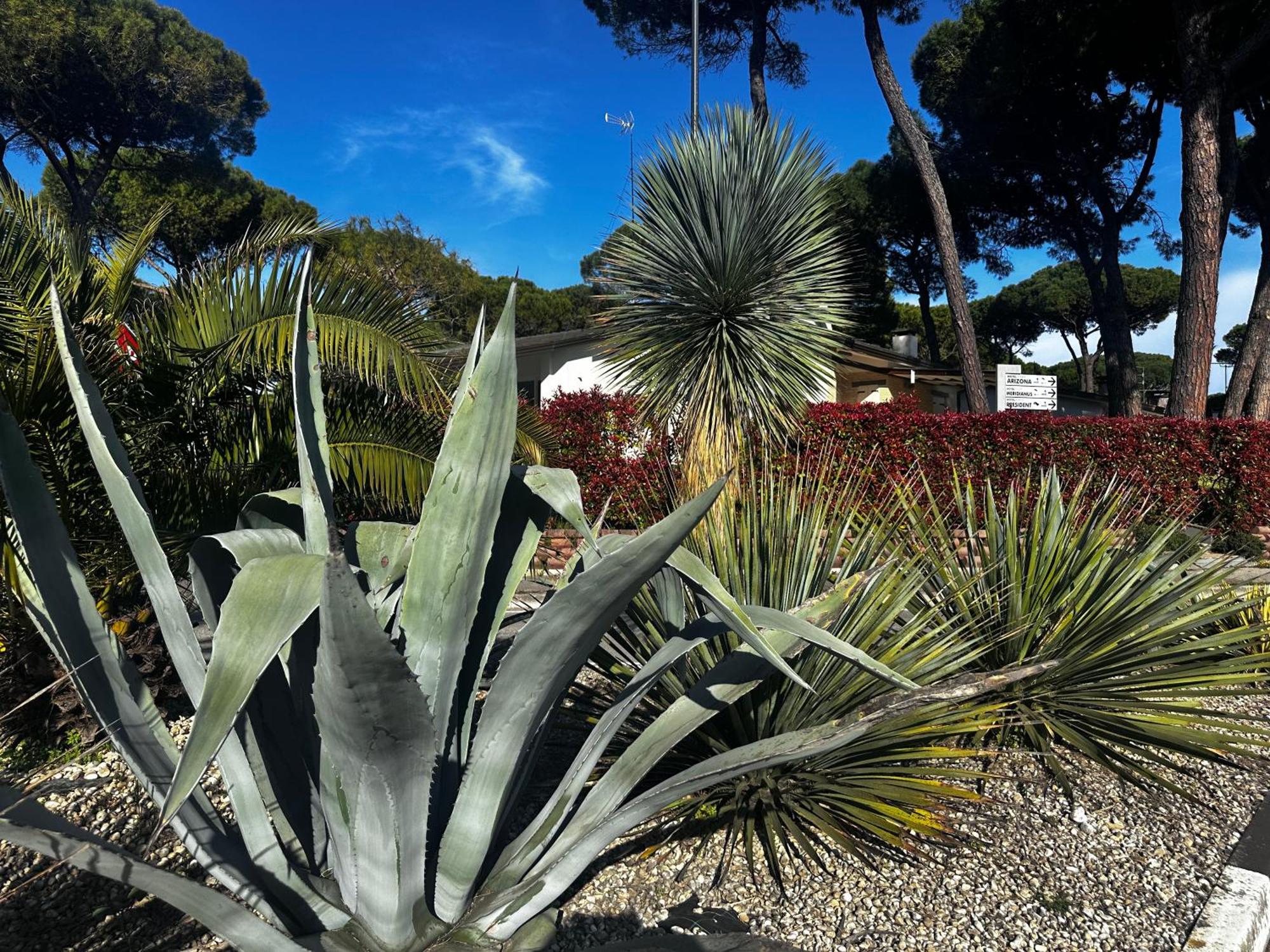 Villa Seashell Lignano Sabbiadoro Dış mekan fotoğraf